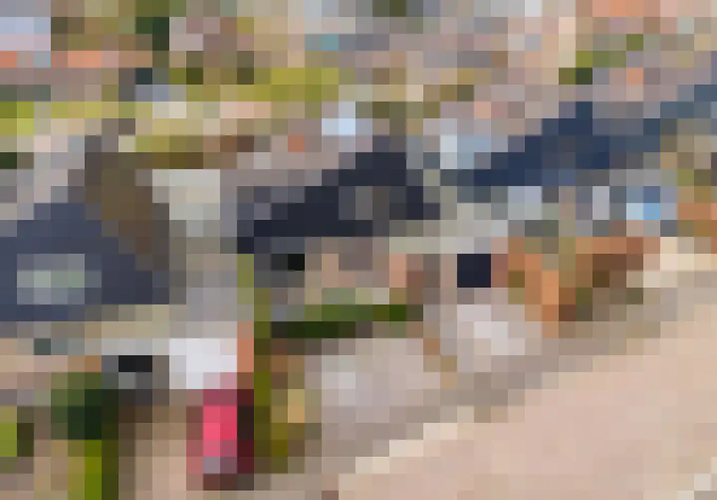 van Matenesselaan 14 Lisse thumbnail 63