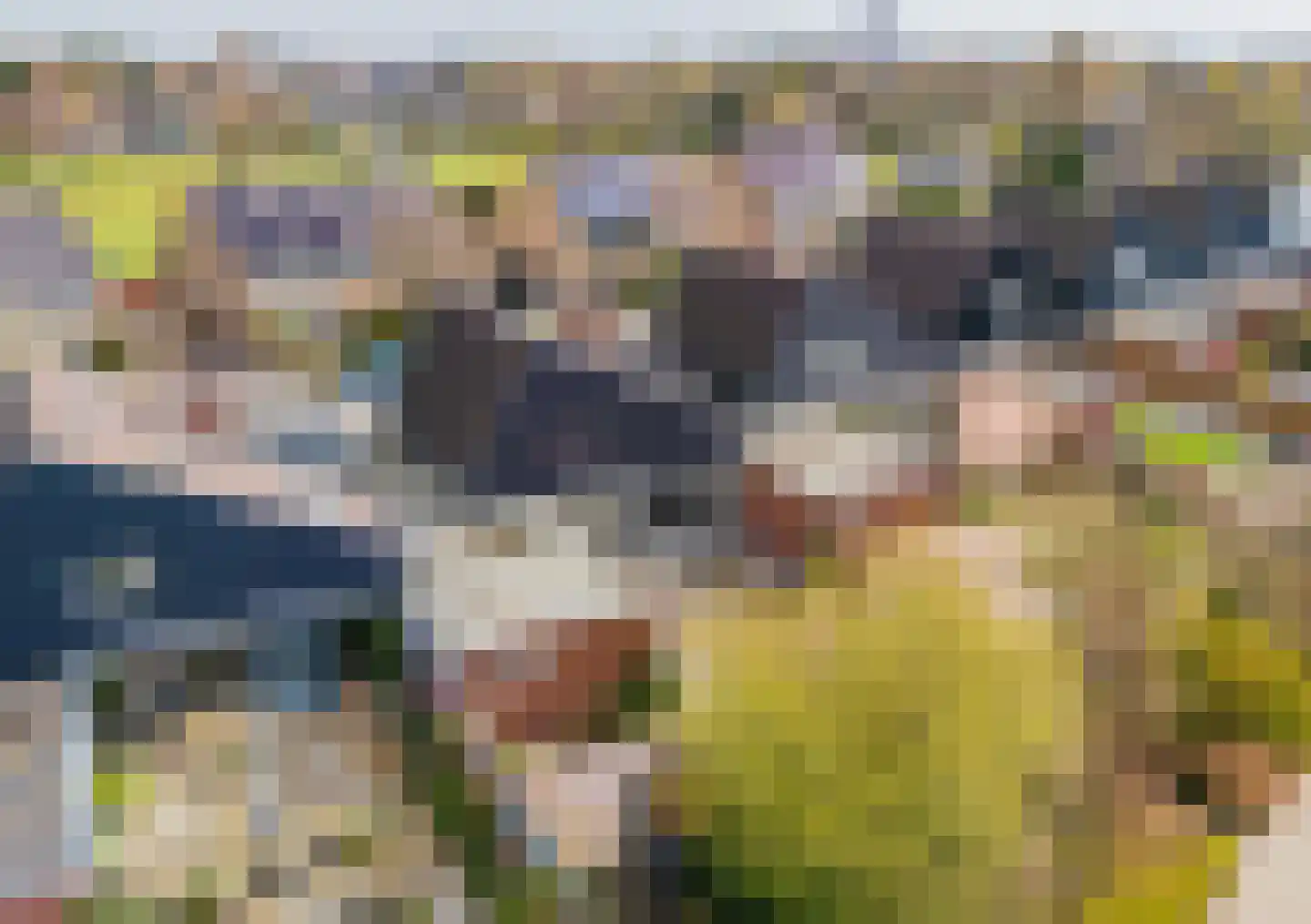 van Matenesselaan 14 Lisse thumbnail 64