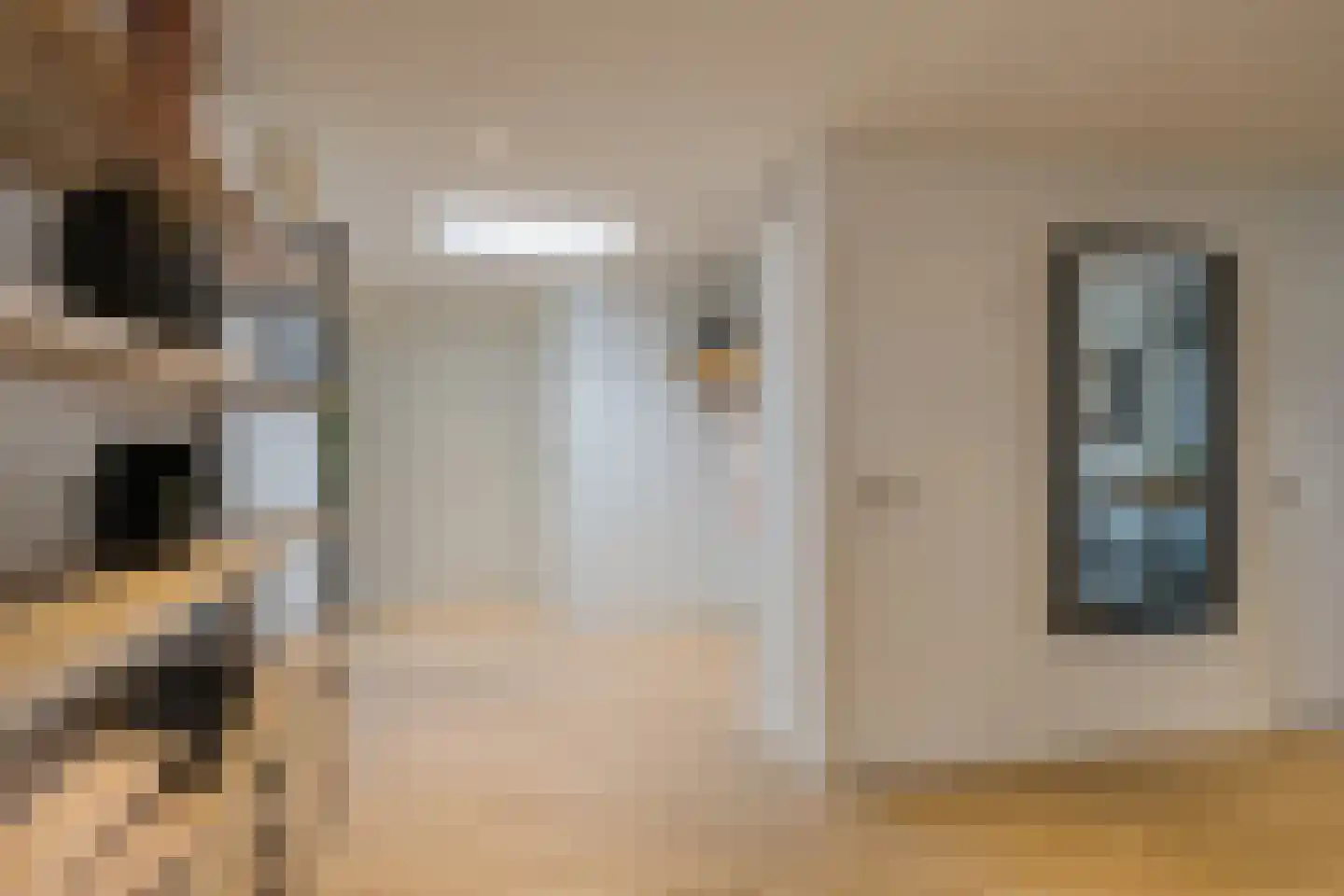 van Matenesselaan 14 Lisse thumbnail 9