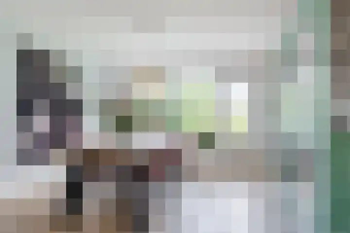 van Matenesselaan 25 Lisse thumbnail 10