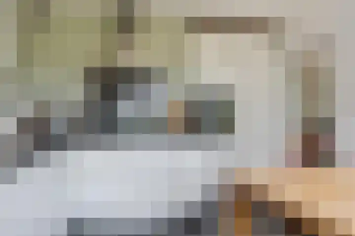 van Matenesselaan 25 Lisse thumbnail 18