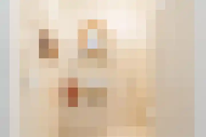 van Matenesselaan 25 Lisse thumbnail 20