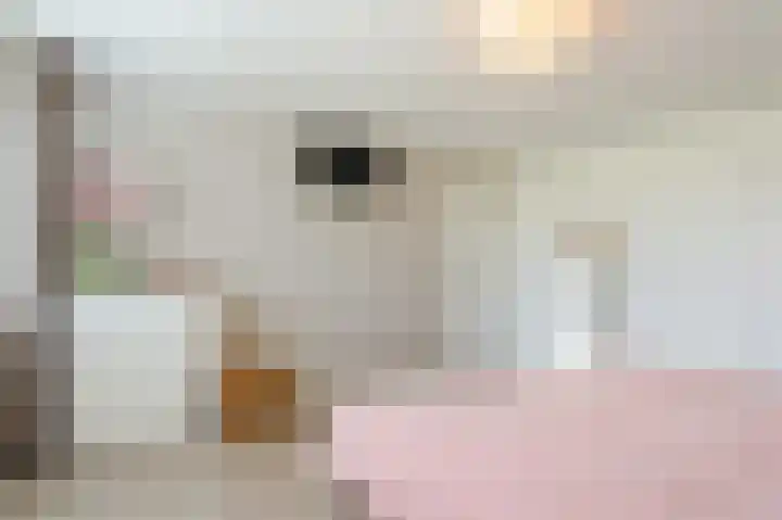 van Matenesselaan 25 Lisse thumbnail 27