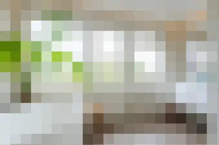 van Matenesselaan 25 Lisse thumbnail 32