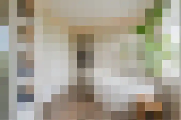 van Matenesselaan 25 Lisse thumbnail 34