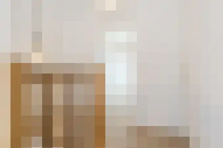 van Matenesselaan 25 Lisse thumbnail 37