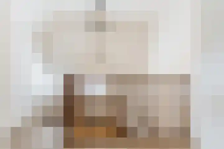 van Matenesselaan 25 Lisse thumbnail 38