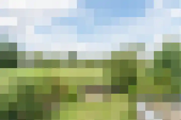 van Matenesselaan 25 Lisse thumbnail 4