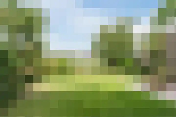 van Matenesselaan 25 Lisse thumbnail 46