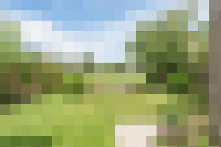 van Matenesselaan 25 Lisse thumbnail 47