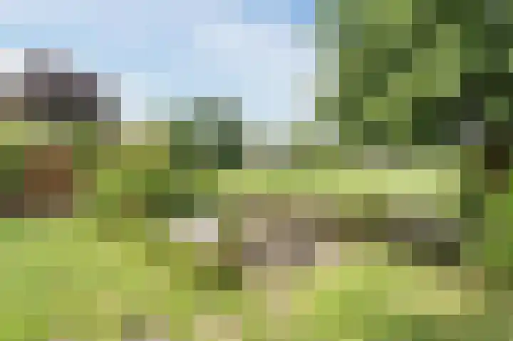 van Matenesselaan 25 Lisse thumbnail 48