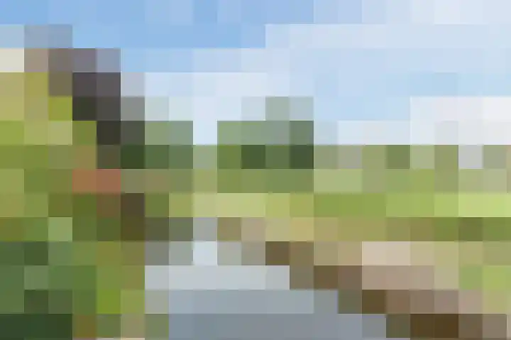 van Matenesselaan 25 Lisse thumbnail 50