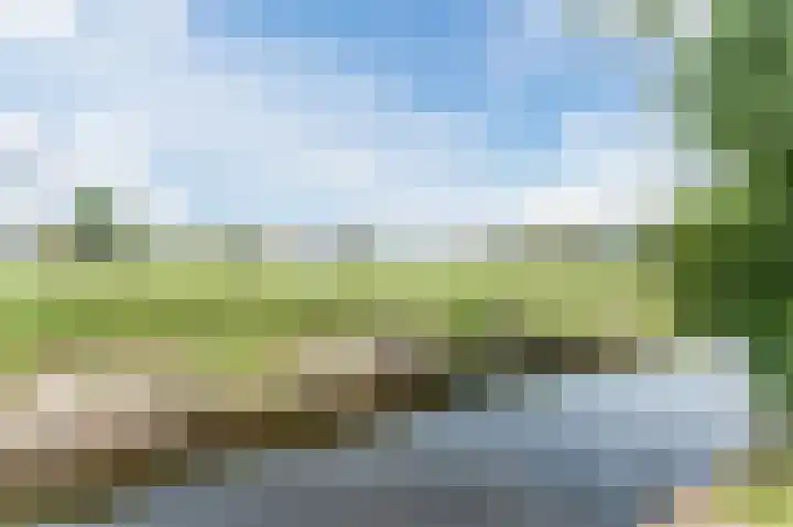 van Matenesselaan 25 Lisse thumbnail 51