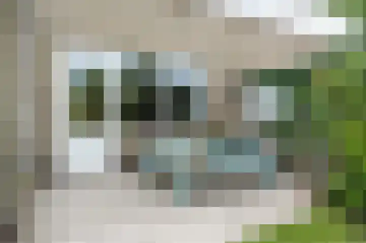 van Matenesselaan 25 Lisse thumbnail 55