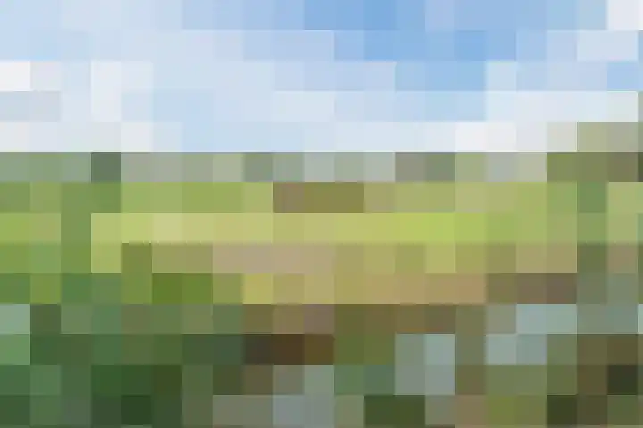 van Matenesselaan 25 Lisse thumbnail 59
