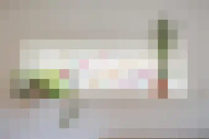 van Matenesselaan 25 Lisse thumbnail 6