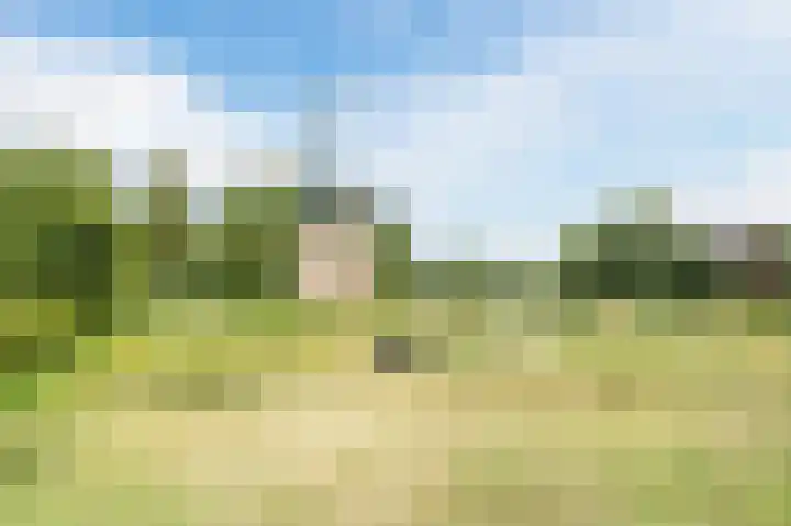 van Matenesselaan 25 Lisse thumbnail 60