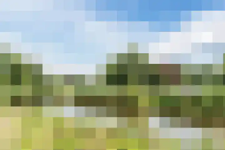 van Matenesselaan 25 Lisse thumbnail 61