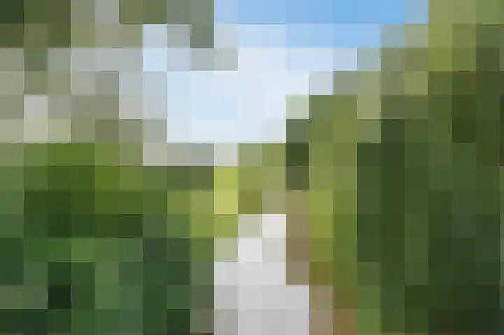 van Matenesselaan 25 Lisse thumbnail 62