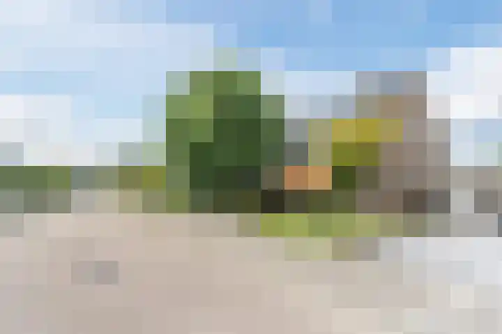 van Matenesselaan 25 Lisse thumbnail 63