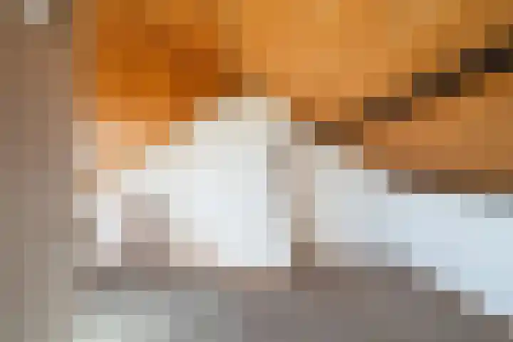 van Mathenessestraat 43 Warmond thumbnail 37