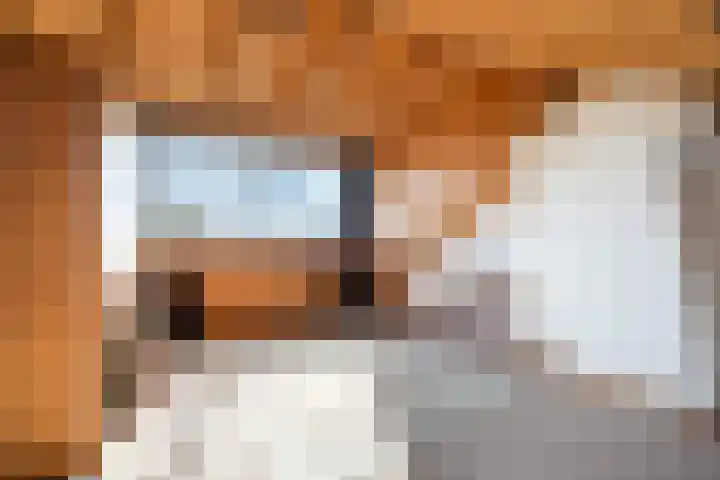 van Mathenessestraat 43 Warmond thumbnail 38