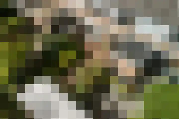 van Mathenessestraat 43 Warmond thumbnail 45
