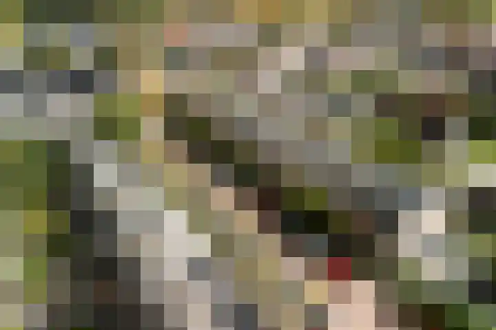 van Mathenessestraat 43 Warmond thumbnail 5