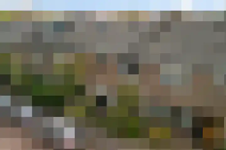 van Mathenessestraat 43 Warmond thumbnail 6