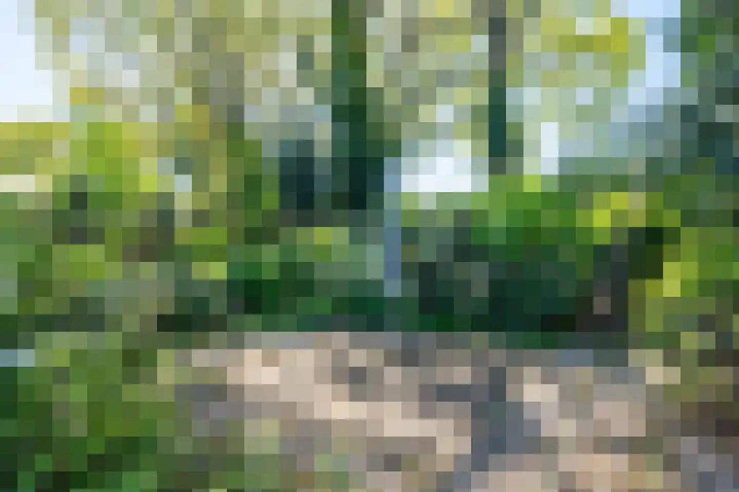 Van Mecklenburglaan 28 Soest thumbnail 23