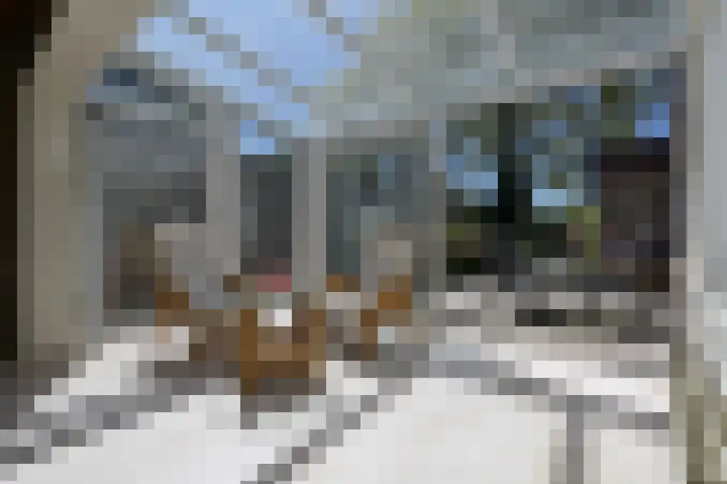 Van Mecklenburglaan 28 Soest thumbnail 5