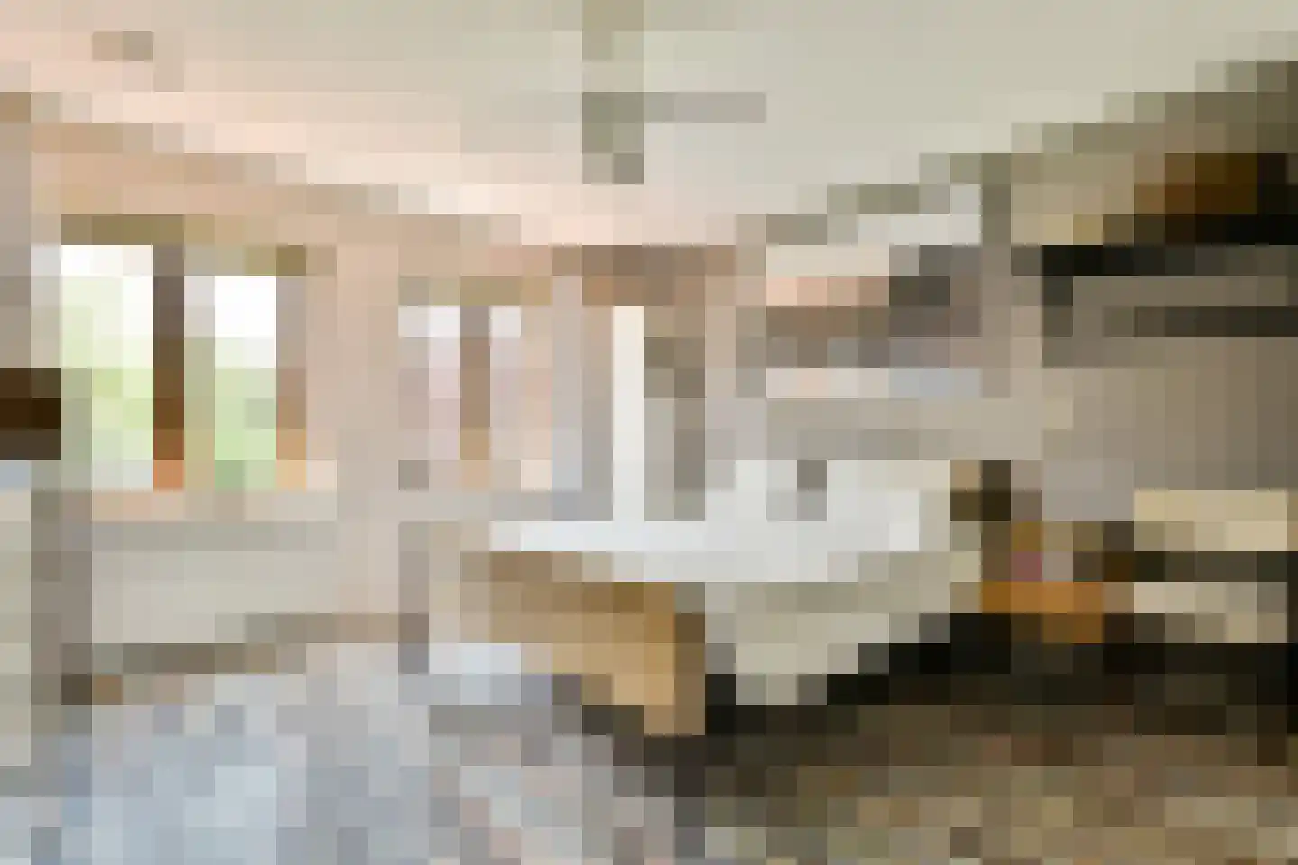 van Medenbach Wakkerplein 7 Diemen thumbnail 18