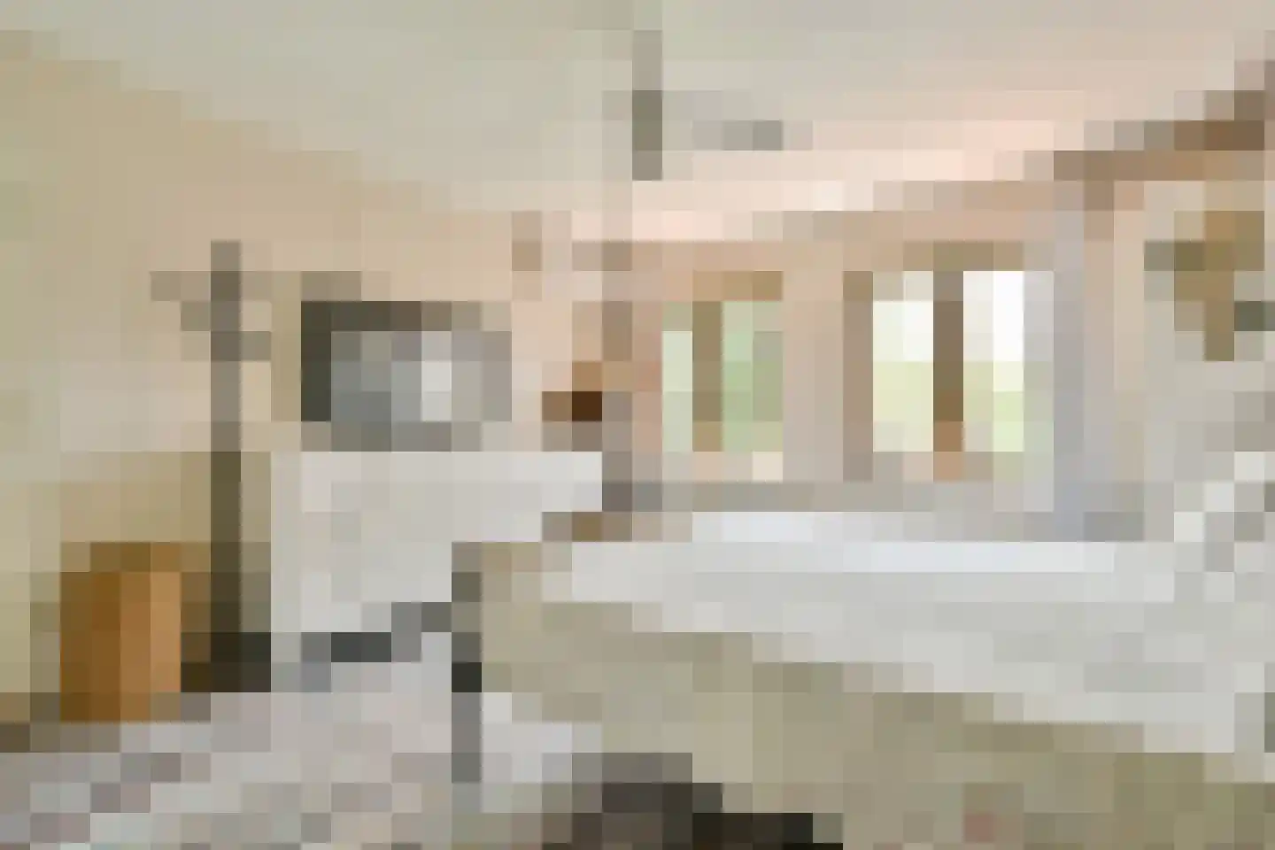 van Medenbach Wakkerplein 7 Diemen thumbnail 19