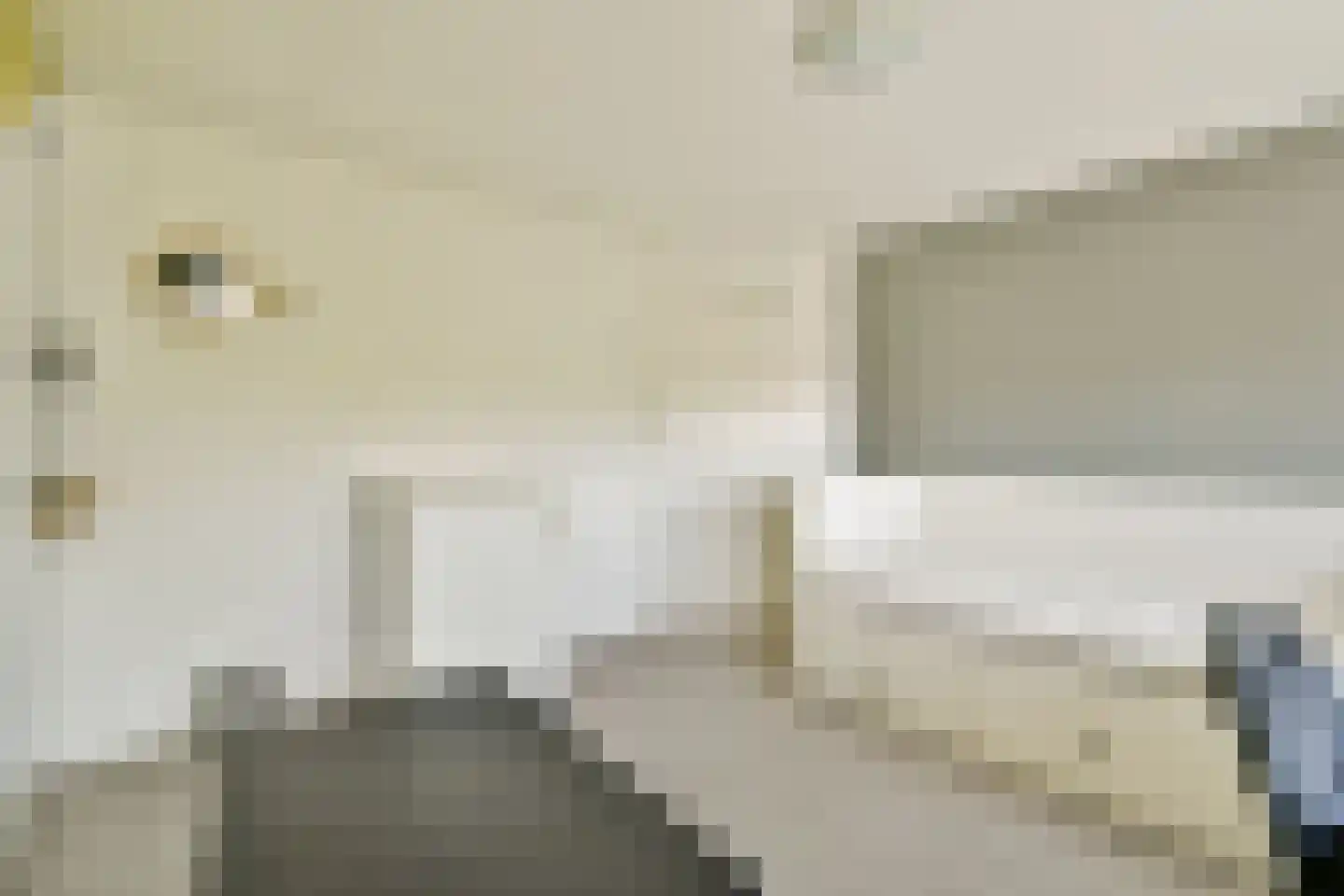 van Medenbach Wakkerplein 7 Diemen thumbnail 29