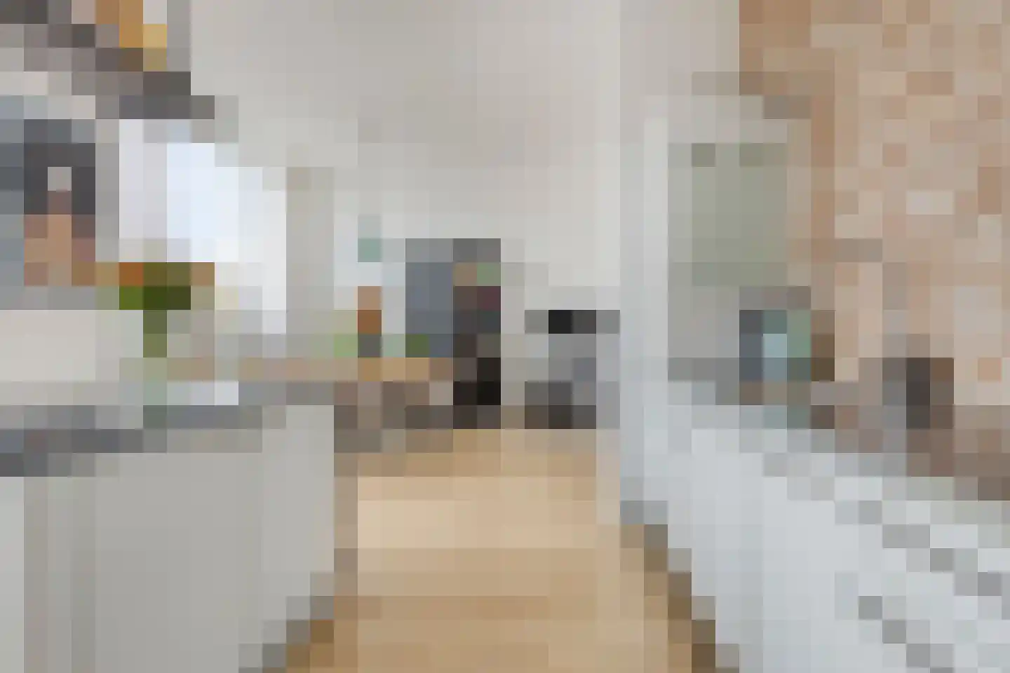 Van Meekerenstraat 184 Rotterdam thumbnail 12