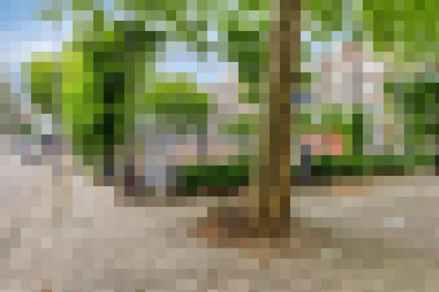 Van Meekerenstraat 184 Rotterdam thumbnail 34