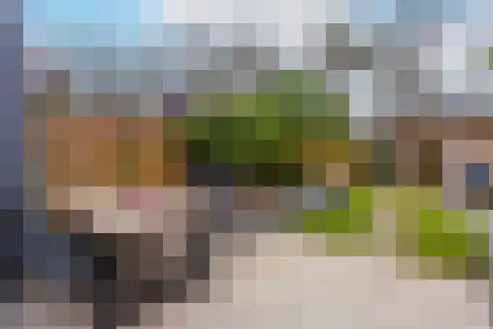 Van Meellaan 12 Soesterberg thumbnail 16