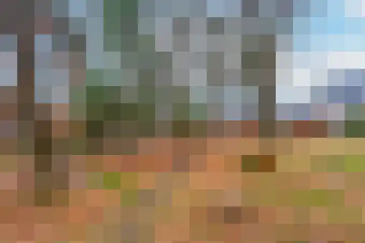 Van Meellaan 12 Soesterberg thumbnail 32