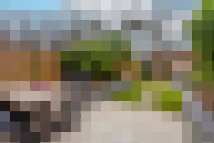 Van Meellaan 12 Soesterberg thumbnail 4