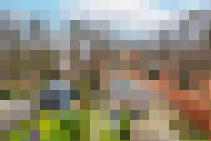 Van Meellaan 12 Soesterberg thumbnail 5