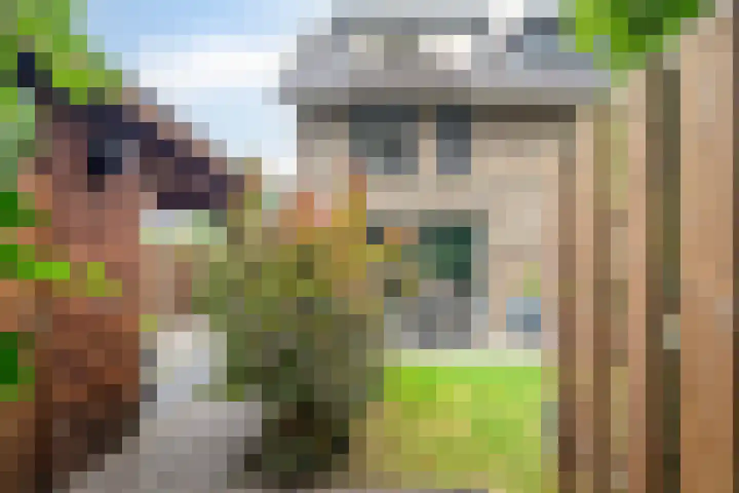 Van Meellaan 30 Soesterberg thumbnail 31