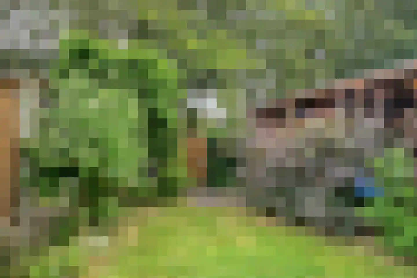 Van Meellaan 30 Soesterberg thumbnail 32