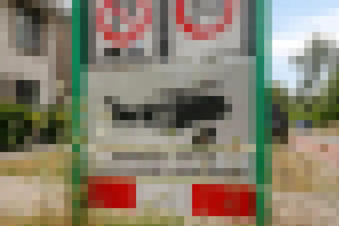 Van Meellaan 30 Soesterberg thumbnail 38