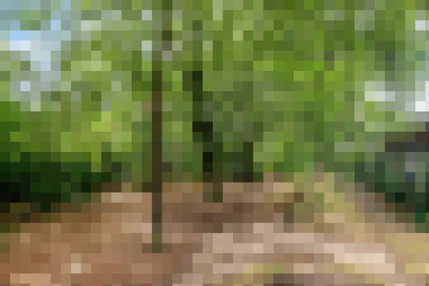 Van Meellaan 30 Soesterberg thumbnail 39