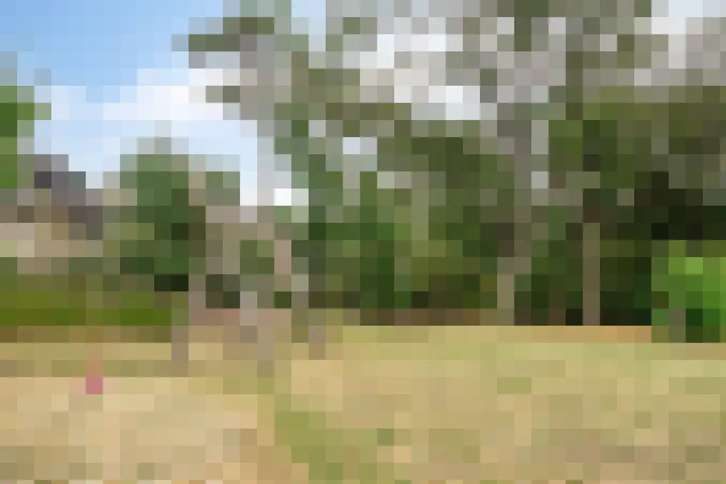 Van Meellaan 30 Soesterberg thumbnail 40