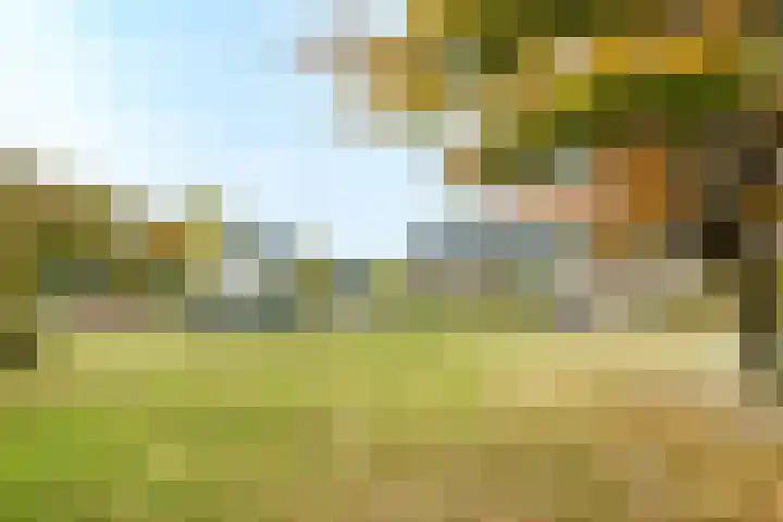 Van Meellaan 57 Soesterberg thumbnail 23
