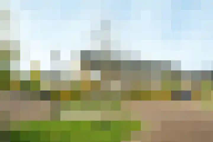 Van Meellaan 57 Soesterberg thumbnail 24