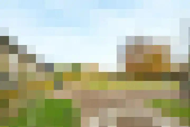 Van Meellaan 57 Soesterberg thumbnail 25