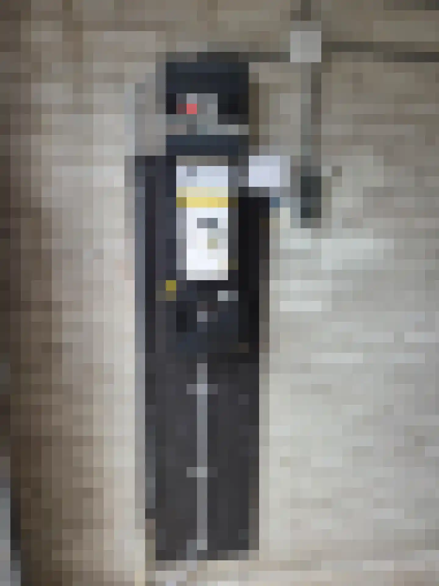 van Meelstraat 13 Zwijndrecht thumbnail 4