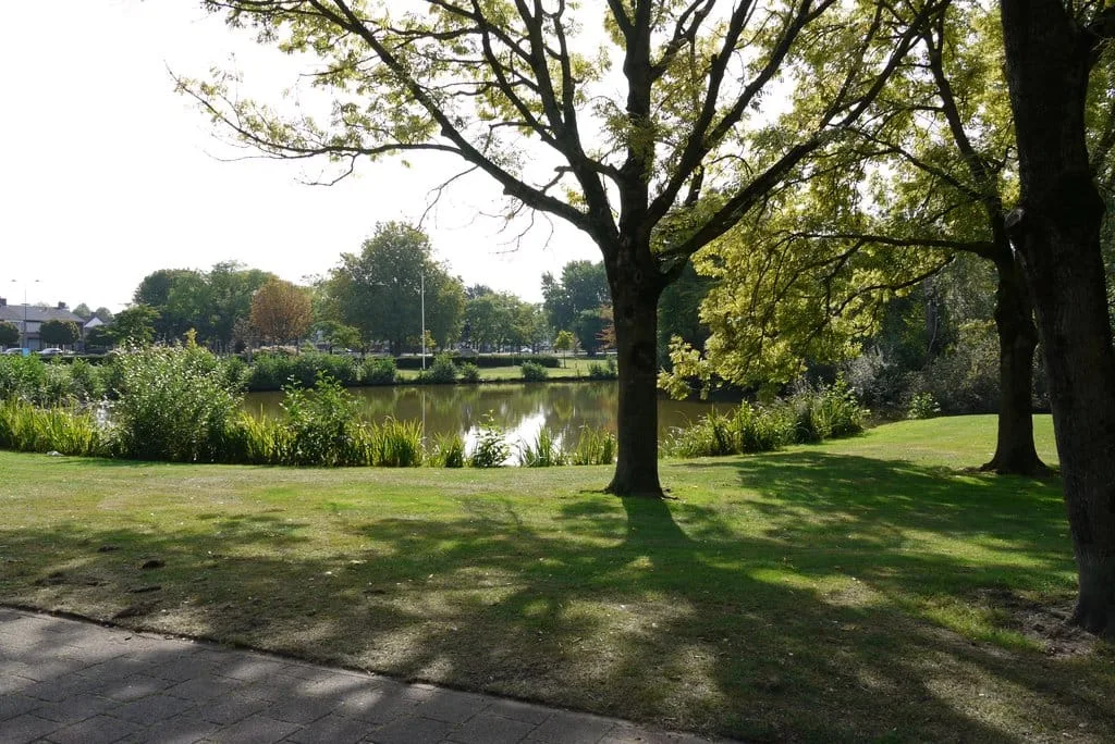 van Meelstraat 14 Helmond thumbnail 31